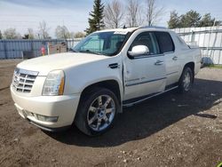 Cadillac salvage cars for sale: 2008 Cadillac Escalade EXT