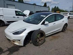 Salvage cars for sale at Portland, OR auction: 2023 Tesla Model 3