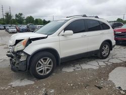 Salvage cars for sale at Lawrenceburg, KY auction: 2010 Honda CR-V EXL