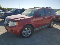 Salvage cars for sale at Cahokia Heights, IL auction: 2011 Ford Escape XLT