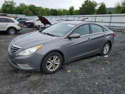 Salvage cars for sale at Grantville, PA auction: 2013 Hyundai Sonata GLS