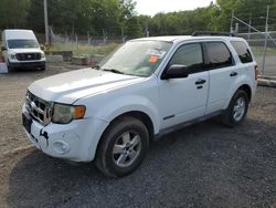 Salvage cars for sale from Copart Finksburg, MD: 2008 Ford Escape XLT