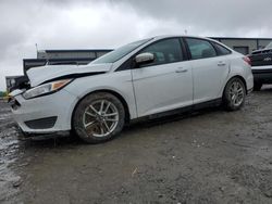 Salvage cars for sale at Earlington, KY auction: 2016 Ford Focus SE