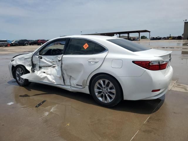 2013 Lexus ES 300H