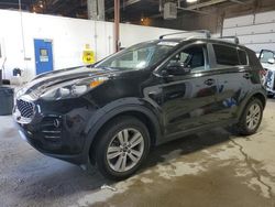 Salvage cars for sale at Blaine, MN auction: 2019 KIA Sportage LX