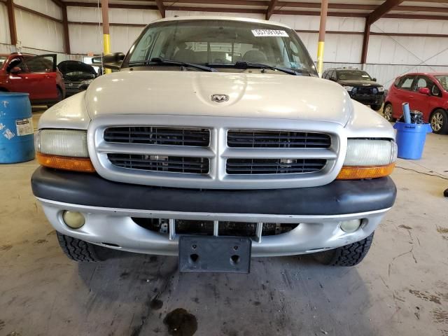 2003 Dodge Dakota Quad Sport