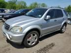 2001 Mercedes-Benz ML 55