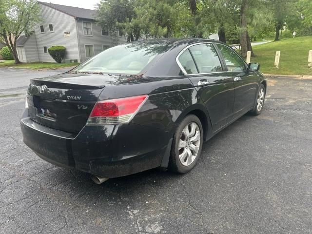 2008 Honda Accord EXL