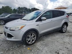 Salvage cars for sale at Loganville, GA auction: 2013 Ford Escape SEL