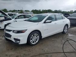 Salvage cars for sale at Louisville, KY auction: 2017 Chevrolet Malibu LT