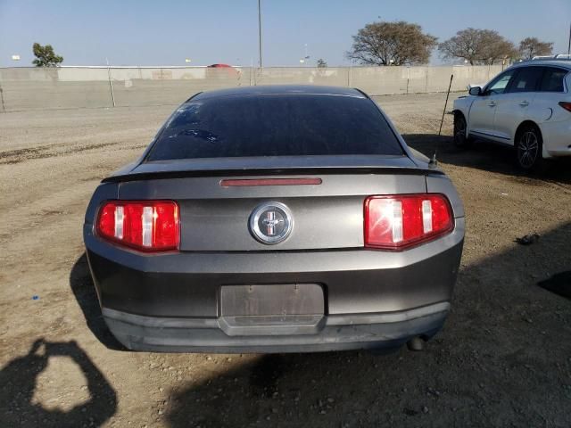 2010 Ford Mustang