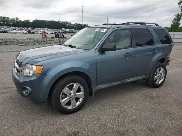 2010 Ford Escape XLT