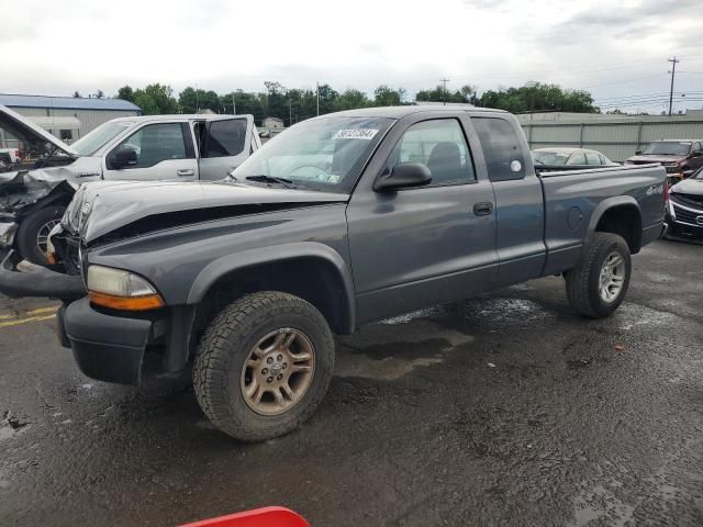 2004 Dodge Dakota SXT