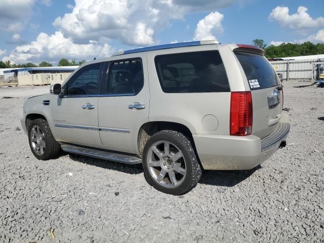 2007 Cadillac Escalade Luxury