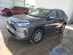 Salvage cars for sale at Albuquerque, NM auction: 2023 Toyota Rav4 XLE