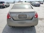 2006 Nissan Maxima SE