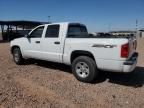 2008 Dodge Dakota SXT