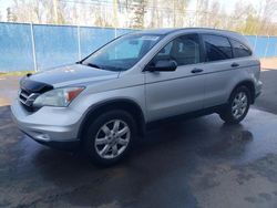 Salvage cars for sale at Moncton, NB auction: 2010 Honda CR-V LX