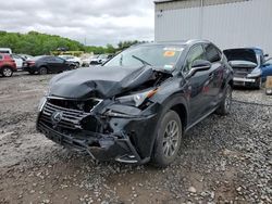 Salvage cars for sale from Copart Windsor, NJ: 2019 Lexus NX 300 Base