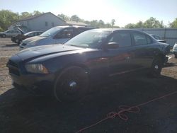 Salvage cars for sale at York Haven, PA auction: 2014 Dodge Charger Police