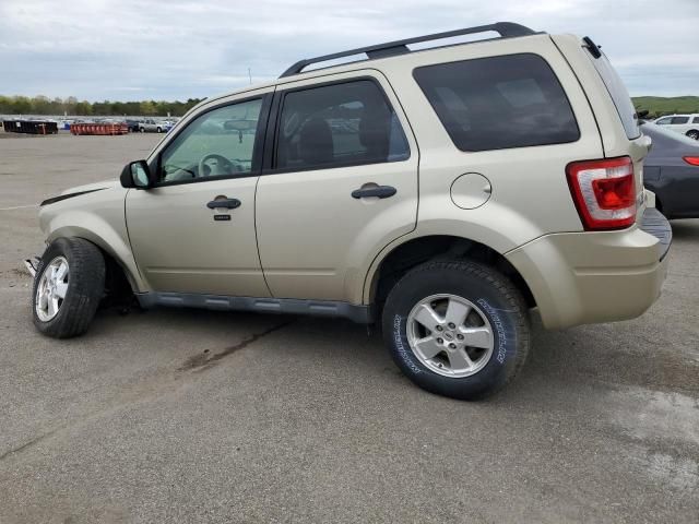 2012 Ford Escape XLT