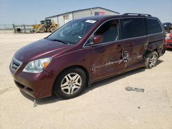 Salvage cars for sale at Amarillo, TX auction: 2007 Honda Odyssey EXL