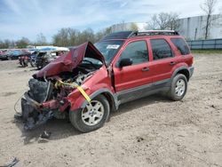Ford salvage cars for sale: 2003 Ford Escape XLT