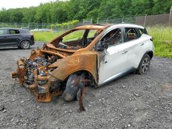 Salvage cars for sale at Finksburg, MD auction: 2019 Nissan Murano S