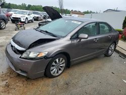 Honda Civic salvage cars for sale: 2009 Honda Civic EX