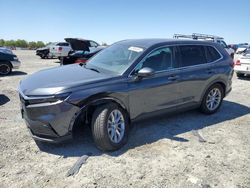 Salvage cars for sale at Antelope, CA auction: 2024 Honda CR-V EXL