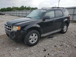 Salvage cars for sale from Copart Lawrenceburg, KY: 2010 Ford Escape XLT