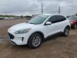 Salvage cars for sale at Colorado Springs, CO auction: 2020 Ford Escape SE