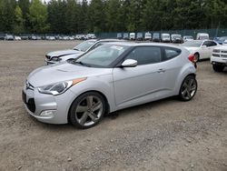 Salvage cars for sale at Graham, WA auction: 2012 Hyundai Veloster