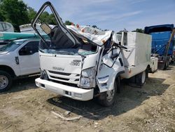 Salvage trucks for sale at Ocala, FL auction: 2021 Isuzu NPR HD