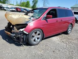 Salvage cars for sale from Copart Angola, NY: 2006 Honda Odyssey TO