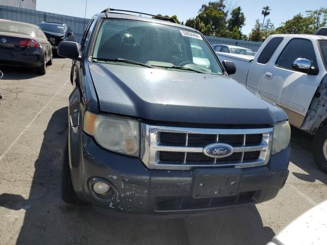 2008 Ford Escape XLT