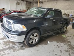 Salvage cars for sale at York Haven, PA auction: 2009 Dodge RAM 1500