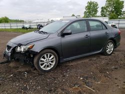 Salvage cars for sale from Copart Columbia Station, OH: 2010 Toyota Corolla Base