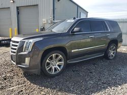 Cadillac Vehiculos salvage en venta: 2015 Cadillac Escalade Luxury