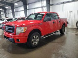 Vehiculos salvage en venta de Copart Ham Lake, MN: 2014 Ford F150 Supercrew