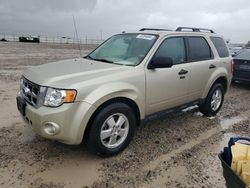 Salvage cars for sale at Magna, UT auction: 2012 Ford Escape XLT