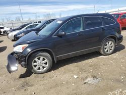 Salvage cars for sale from Copart Nisku, AB: 2009 Honda CR-V EXL