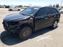 KIA Sorento ex salvage cars for sale: 2013 KIA Sorento EX