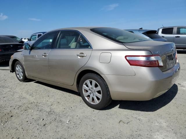 2007 Toyota Camry Hybrid