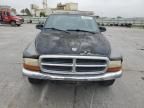 2002 Dodge Dakota SLT