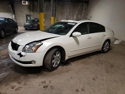 Salvage cars for sale at Chalfont, PA auction: 2005 Nissan Maxima SE