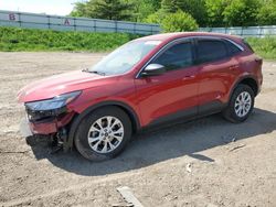 Salvage cars for sale from Copart Davison, MI: 2023 Ford Escape Active