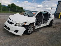 Salvage cars for sale at Chambersburg, PA auction: 2009 Toyota Corolla Base