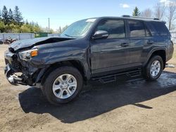 Salvage cars for sale from Copart Ontario Auction, ON: 2024 Toyota 4runner SR5/SR5 Premium