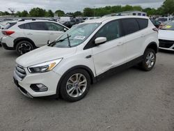 Salvage SUVs for sale at auction: 2017 Ford Escape SE